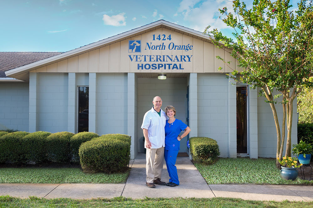 About Our Apopka Veterinary Hospital Noah Apopka