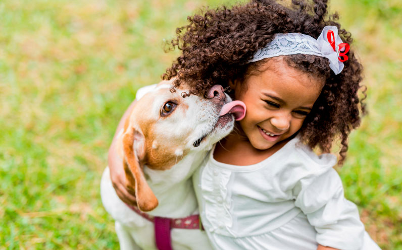 showing kindness animals