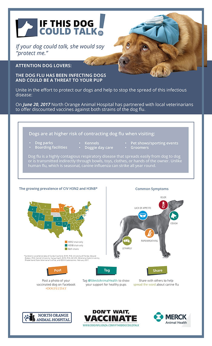 National Dog Flu Awareness Day, June 20th, 2018