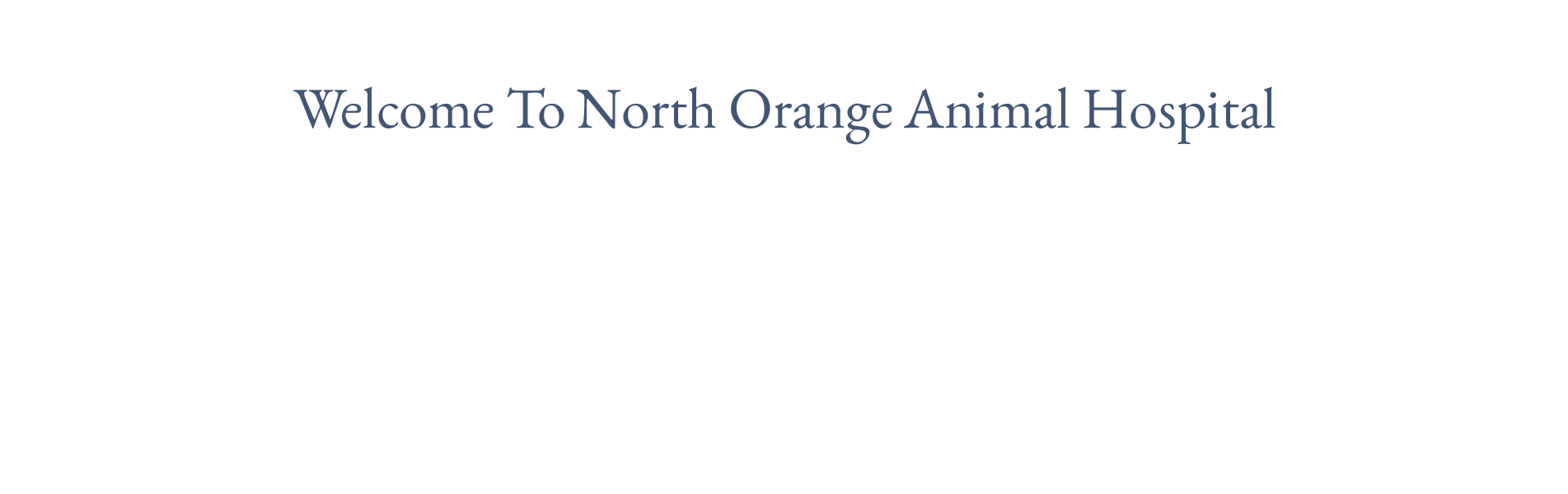 Welcome To North Orange Animal Hospital