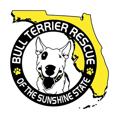Bull Terrier Rescue of the Sunshine State