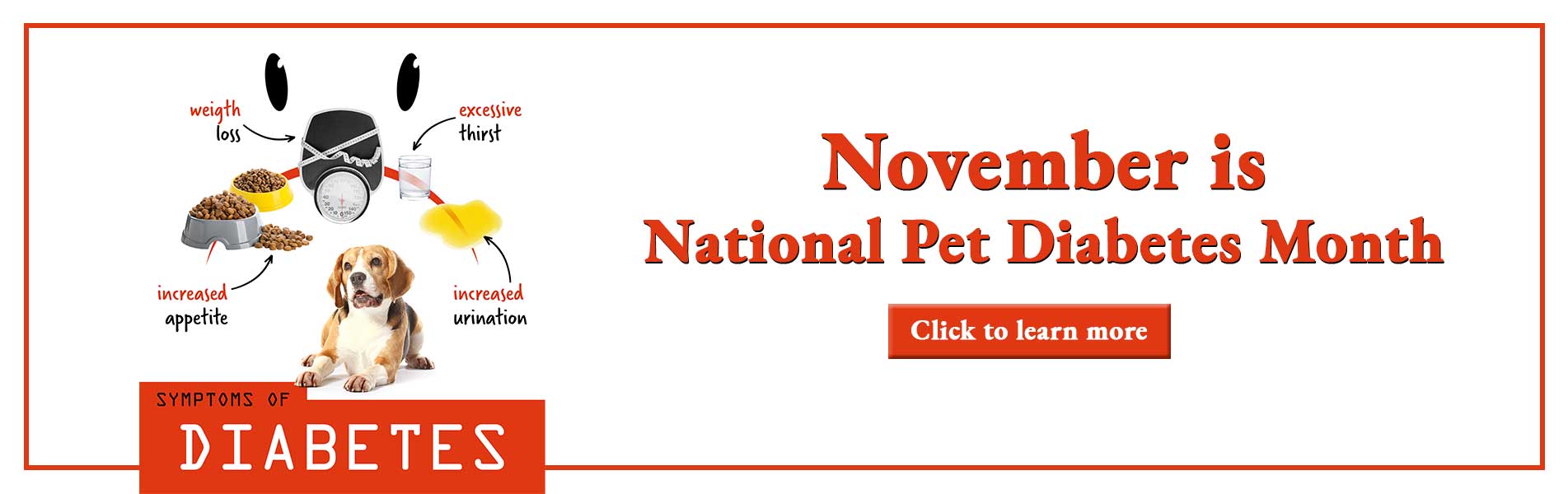 November is National Pet Diabetes Month